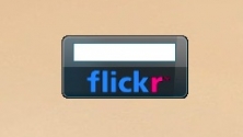 flickr Search